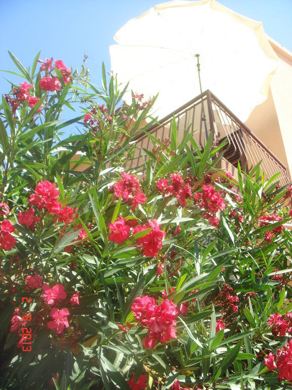פרימוסטן Apartments Renata מראה חיצוני תמונה